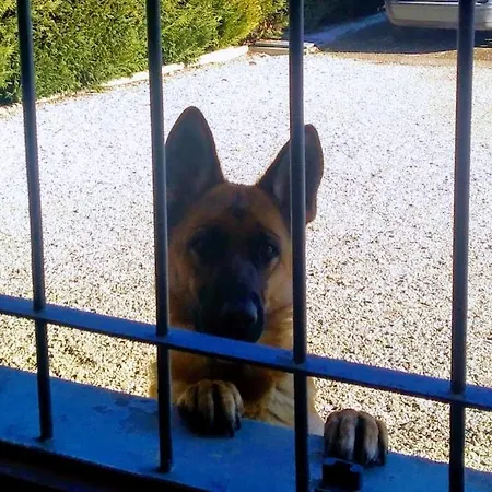 住宿加早餐酒店 La Fossetta 3*