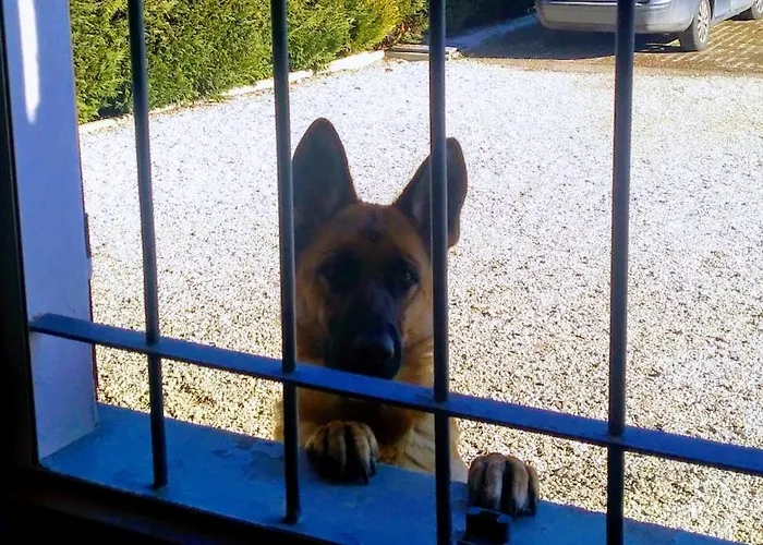 לינה וארוחת בוקר La Fossetta 3*